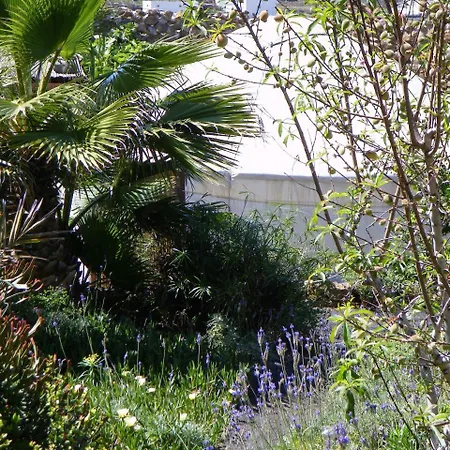 Tinache La Santa